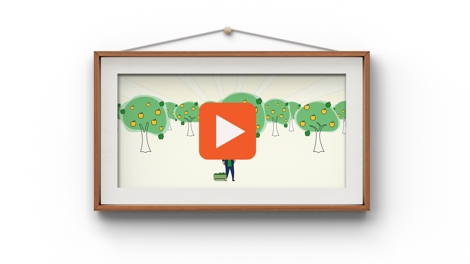 Animated Explainer Video for Options for Homes
